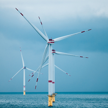 Veja Mate Germany 23 Copy