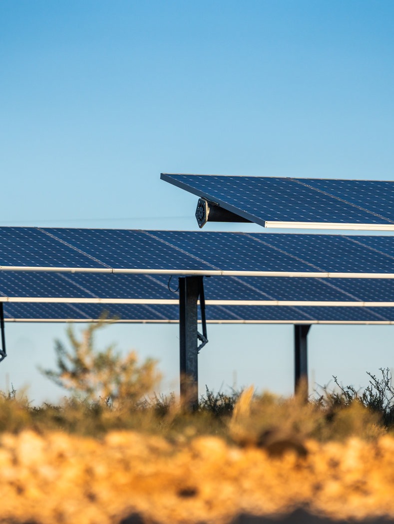 Felix Studios Mulilo Feb 2024 405 (1)